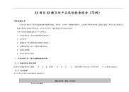 10_交付产品风险检查报告