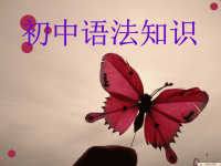 中考语文专题复习初中语法知识ppt课件