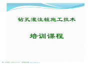 钻孔灌注桩施工技术培训课程_ppt [兼容模式]