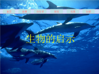 小学科学课件生物的启