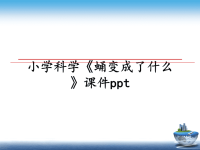 最新小学科学《蛹变成了什么》课件pptppt课件