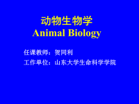 《动物生物学》课件