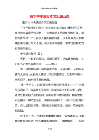 精华中考满分作文汇编五篇