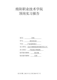 室内设计顶岗实习总结报告