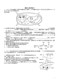 高中生物遗传与变异专题练习