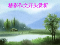 精彩作文开头赏析ppt课件