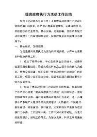 提高政府执行力活动工作总结