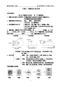 学业水平考试生物复习专题三 细胞的生命历程