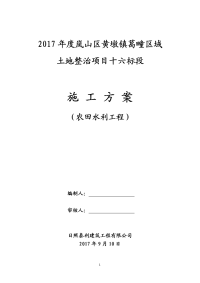 XX镇土地整治项目--农田水利工程