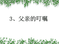 小学语文：《父亲的叮嘱》教学课件