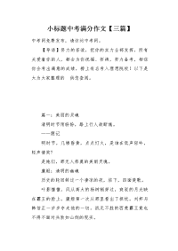 小标题中考满分作文.docx