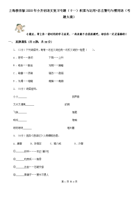 上海教育版2020年小升初语文复习专题（十一）积累与运用•名言警句与惯用语（考题大观）.doc