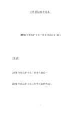 2019年医院护士长工作年终总结(二篇).docx