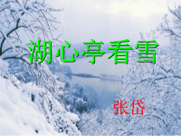 《湖心亭看雪》中考复习课件