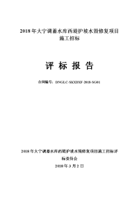 2018年大宁调蓄水库西堤护坡水毁修复项目施工招标