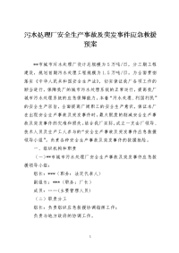 污水处理厂安全生产事故及突发事件应急救援预案