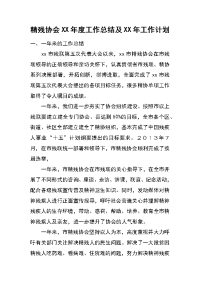 精残协会xx年度工作总结及xx年工作计划