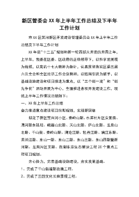 新区管委会xx年上半年工作总结及下半年工作计划