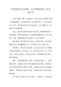 中考满分作文范例：活力四射的初三岁月500字.docx