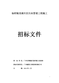 仙村镇龙湖片区污水管道工程施工