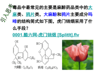 高中化学3.1.2《酚》课件(新人教版选修5)