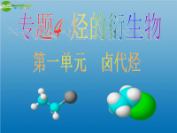 高中化学 卤代烃：课件七 苏教选修5