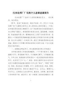 污水处理厂厂长的个人述职述廉报告