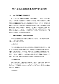 SSF系统在氯碱行业废水处理中的可行性ж