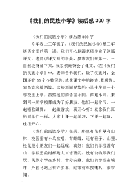 《我们的民族小学》读后感300字