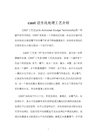 污水处理工艺-CAST