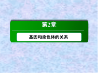 新教材2020-2021学年生物人教版（2019）必修2课件：2-1 减数分裂和受精作用