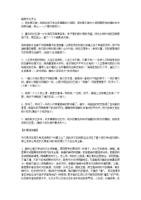 精美作文开头