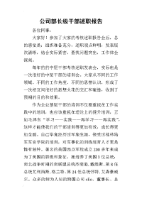 公司部长级干部的述职报告