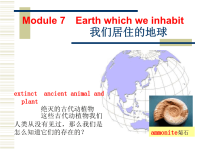 小学科学课件 化石