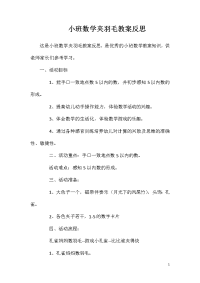 小班数学夹羽毛教案反思