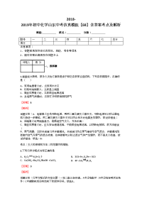 2018-2019年初中化学山东中考仿真模拟