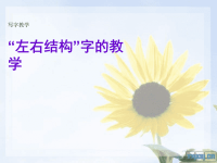 小学写字课《左右结构》教学课件