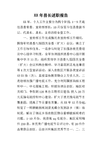 某年县长述职报告