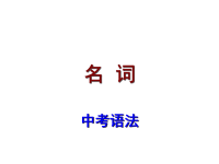 《中考宝典》2016广东省中考英语复习(语法考点)课件：名词及其考点