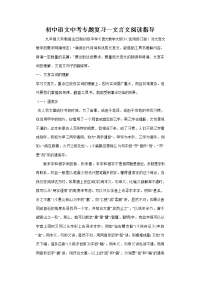 初中语文中考专题复习