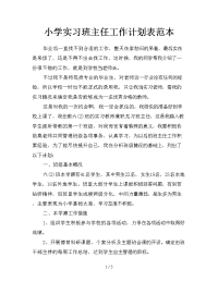 小学实习班主任工作计划表范本