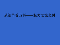 从细节看万科__魅力之城交付