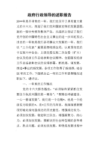 政府行政领导_述职报告