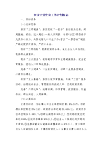 乡镇计划生育工作计划报告
