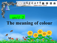 译林牛津高中英语选修9 the meaning of colour课件