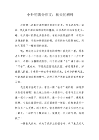 小升初满分作文：秋天的树叶.docx
