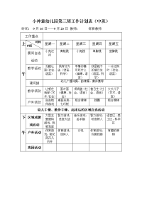 小神童幼儿园第一周工作计划表中班