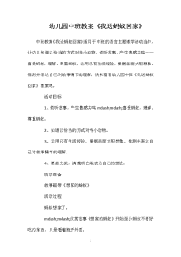 幼儿园中班教案《我送蚂蚁回家》