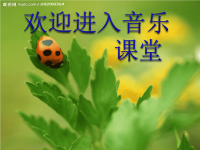 小学音乐美丽的昆虫课件ppt