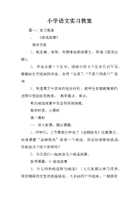 小学语文实习教案